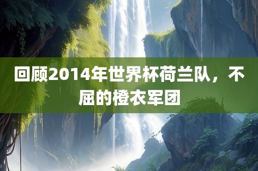 回顾2014年世界杯荷兰队，不屈的橙衣军团丹东日丰电子有限公司