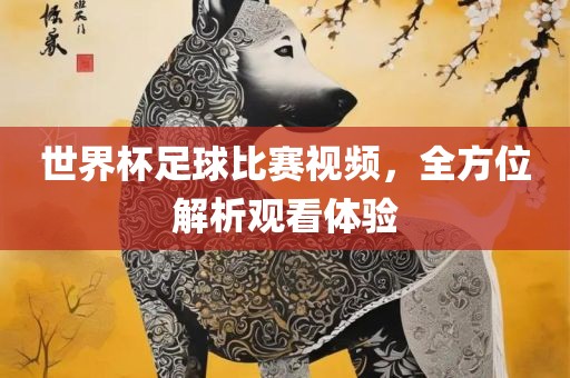 世界杯足球比赛视频，全方位解析观看体丹东日丰电子有限公司验