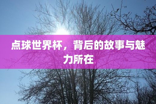 点球世界杯，背后的故事与魅力所在