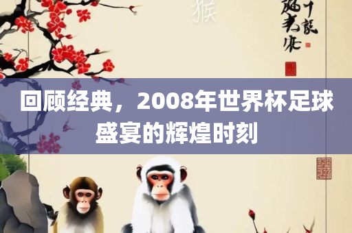 回顾经典，2008年世界杯足球盛宴的辉煌时刻丹东日丰电子有限公司