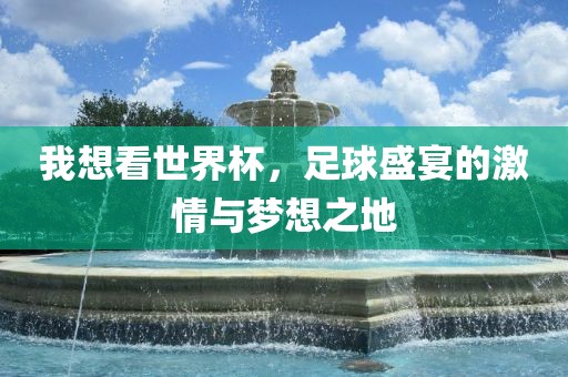 我想看世界杯，足球盛宴的激情与梦想之地丹东日丰电子有限公司