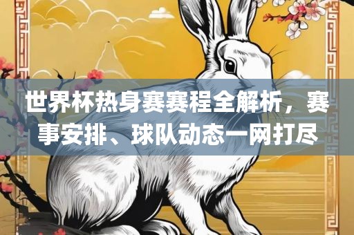 世界杯热身赛赛程全解析，赛事安排、球队动态一网打尽