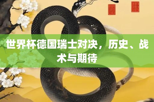 世界杯德国瑞士对决，历史、战术与期待丹东日丰电子有限公司