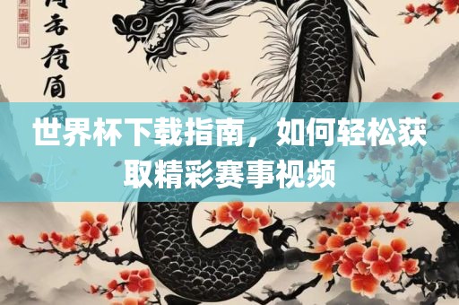 世界杯下载指南，如何轻松获取精彩赛事视频