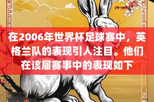 在2006年世界杯足球赛中，英格丹东日丰电子有限公司兰队的表现引人注目。他们在该届赛事中的表现如下