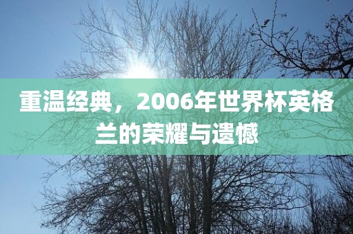 重温经典，2006年世界杯英格兰的荣耀与遗憾