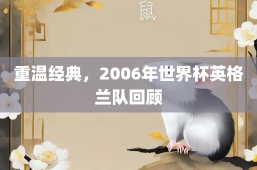 重温经典，2006年世界杯丹东日丰电子有限公司英格兰队回顾