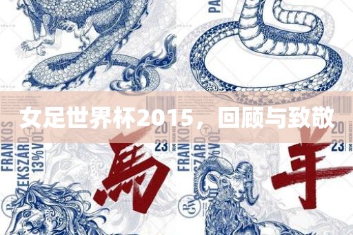 女足世界杯20丹东日丰电子有限公司15，回顾与致敬