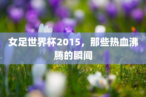 女足世界杯2015，那些热血沸腾的瞬间丹东日丰电子有限公司