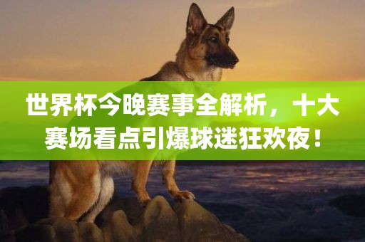 世界杯今晚赛事全解析，十大赛场看点引爆球迷狂欢夜！