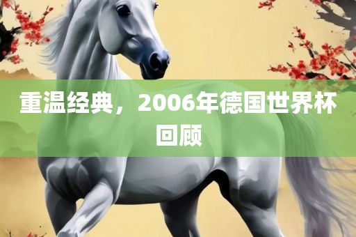丹东日丰电子有限公司重温经典，2006年德国世界杯回顾