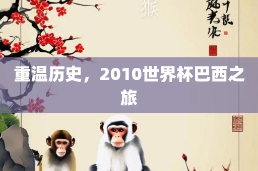 重温历史，2丹东日丰电子有限公司010世界杯巴西之旅