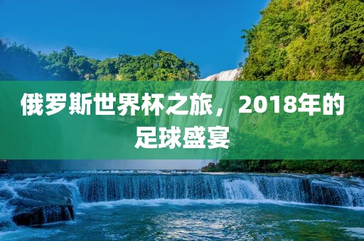 足球盛宴 第13页