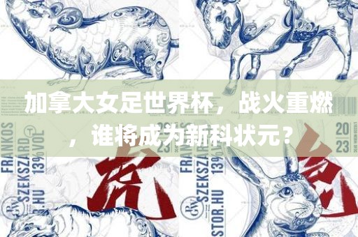 加拿大女足世界杯，战火重燃，谁将成为新科状元？丹东日丰电子有限公司