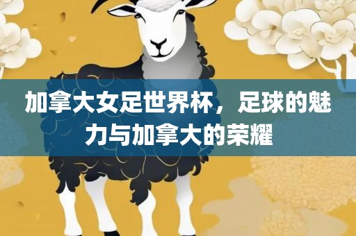 加拿大女足世界杯，足球的魅力与加拿大的荣耀丹东日丰电子有限公司