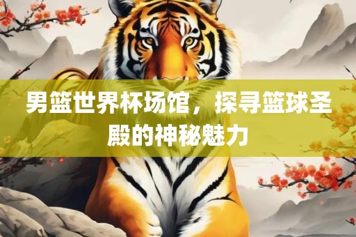 男篮世界杯场馆，探寻篮球圣殿的神秘魅力