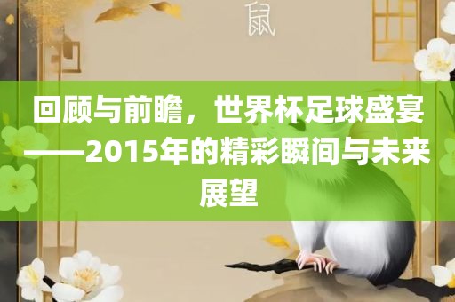 回顾与前瞻，世界杯足球盛宴——2015年的精彩瞬间与未来展望