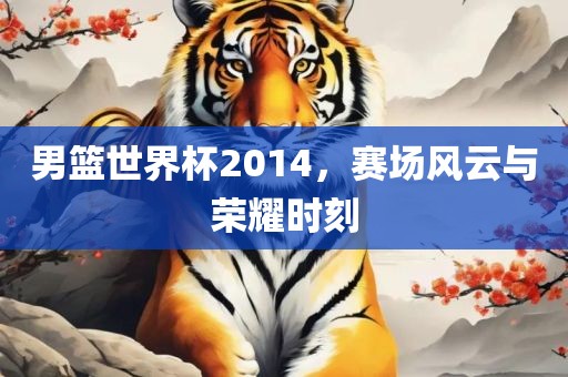 男篮世界杯2014，赛场风云与荣耀时刻丹东日丰电子有限公司