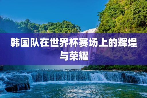 韩国队在世界杯赛场上的辉煌与荣耀丹东日丰电子有限公司