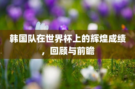 韩国队在世界杯上的辉煌成绩，回顾与前瞻丹东日丰电子有限公司
