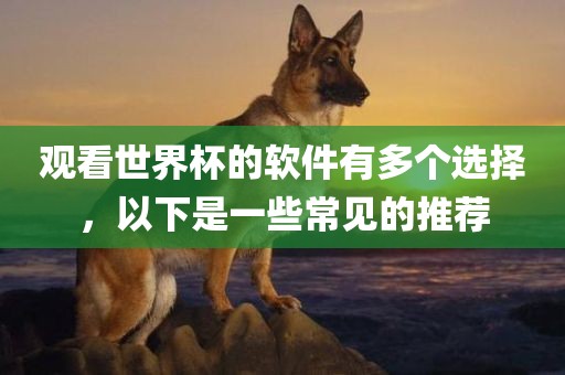 观看世界杯的软件有多个选择，以下是一些常见的推荐丹东日丰电子有限公司