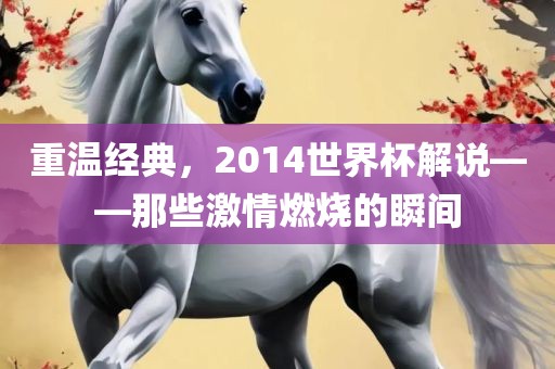 重温经典，2014世界杯解说——那些激情燃烧的瞬间