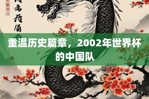 重温历史篇章，2002年世丹东日丰电子有限公司界杯的中国队