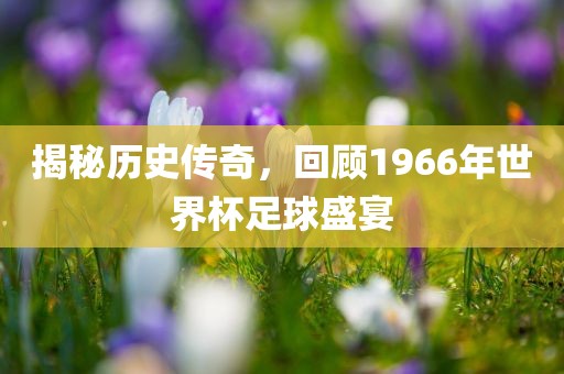 揭秘历史传奇，回顾1966年世界杯足球盛宴