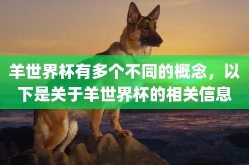 羊世界杯有多个不同的概念，以下是关于羊世界杯的相关信息丹东日丰电子有限公司
