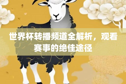 世界杯转播频道全解析，观看赛事的绝佳途径