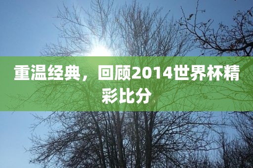 重温经典，回顾2014世界杯精彩比分