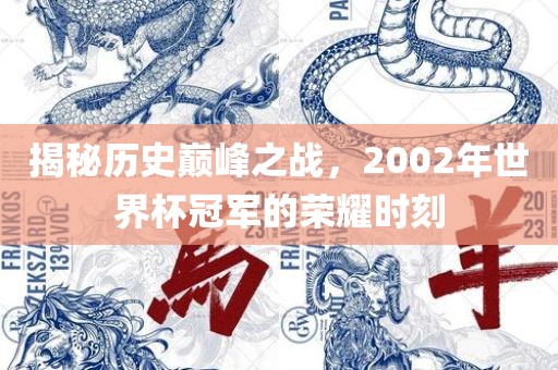 揭秘历史巅峰之战，2002年世界杯冠军的荣耀时刻丹东日丰电子有限公司