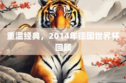 重温经典，2014年德国世界杯回顾