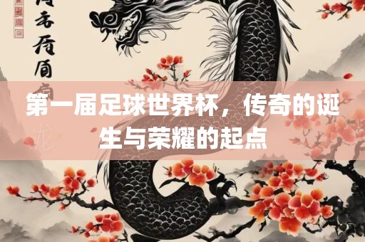 第一届足球世界杯，传奇的诞生与荣耀的起点