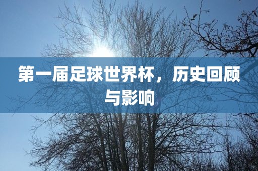 第一届足球世界杯，历史回顾与影响丹东日丰电子有限公司