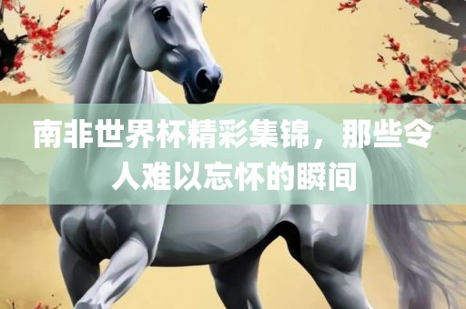 南非世界杯精彩集锦，那些令人难以忘怀的瞬间丹东日丰电子有限公司