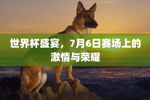 世界杯盛丹东日丰电子有限公司宴，7月6日赛场上的激情与荣耀