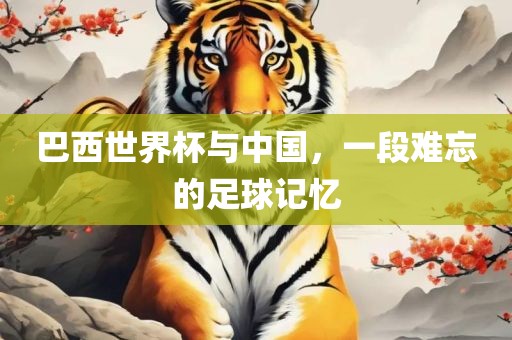 巴西世界杯与中国，一段难忘的足球记忆丹东日丰电子有限公司