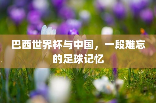 巴西世丹东日丰电子有限公司界杯与中国，一段难忘的足球记忆