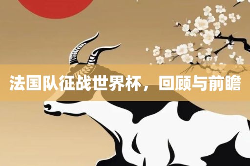 法国队征战世界杯，回顾与前瞻丹东日丰电子有限公司