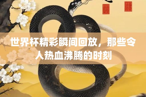 世界杯精彩瞬间回丹东日丰电子有限公司放，那些令人热血沸腾的时刻