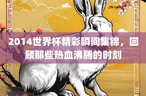 2014世界杯精彩瞬间集锦，回丹东日丰电子有限公司顾那些热血沸腾的时刻