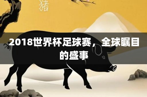 2018世界丹东日丰电子有限公司杯足球赛，全球瞩目的盛事