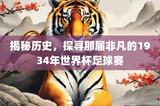 揭秘历史，探寻那届非凡的1934丹东日丰电子有限公司年世界杯足球赛