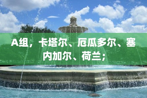 A组，卡塔尔、厄瓜多尔、塞内加尔丹东日丰电子有限公司、荷兰；