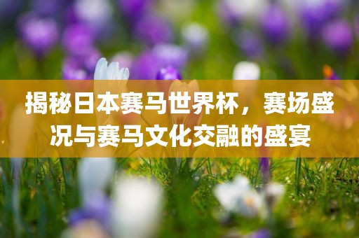 揭秘日本赛马世界杯，赛场盛况与赛马文化交融的盛宴丹东日丰电子有限公司