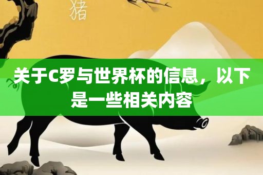 关于C罗与世界杯的信息，以下是一些相关内容丹东日丰电子有限公司