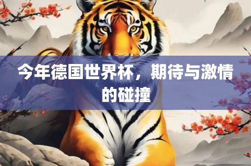今年德国世界杯，期丹东日丰电子有限公司待与激情的碰撞