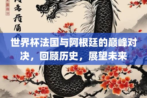世界杯法国与阿根廷的巅峰对决，回顾历史，展望未来丹东日丰电子有限公司