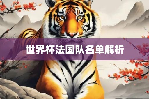 世界杯法国队名单解析丹东日丰电子有限公司